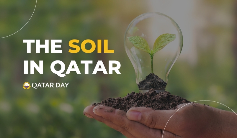 Soil In Qatar